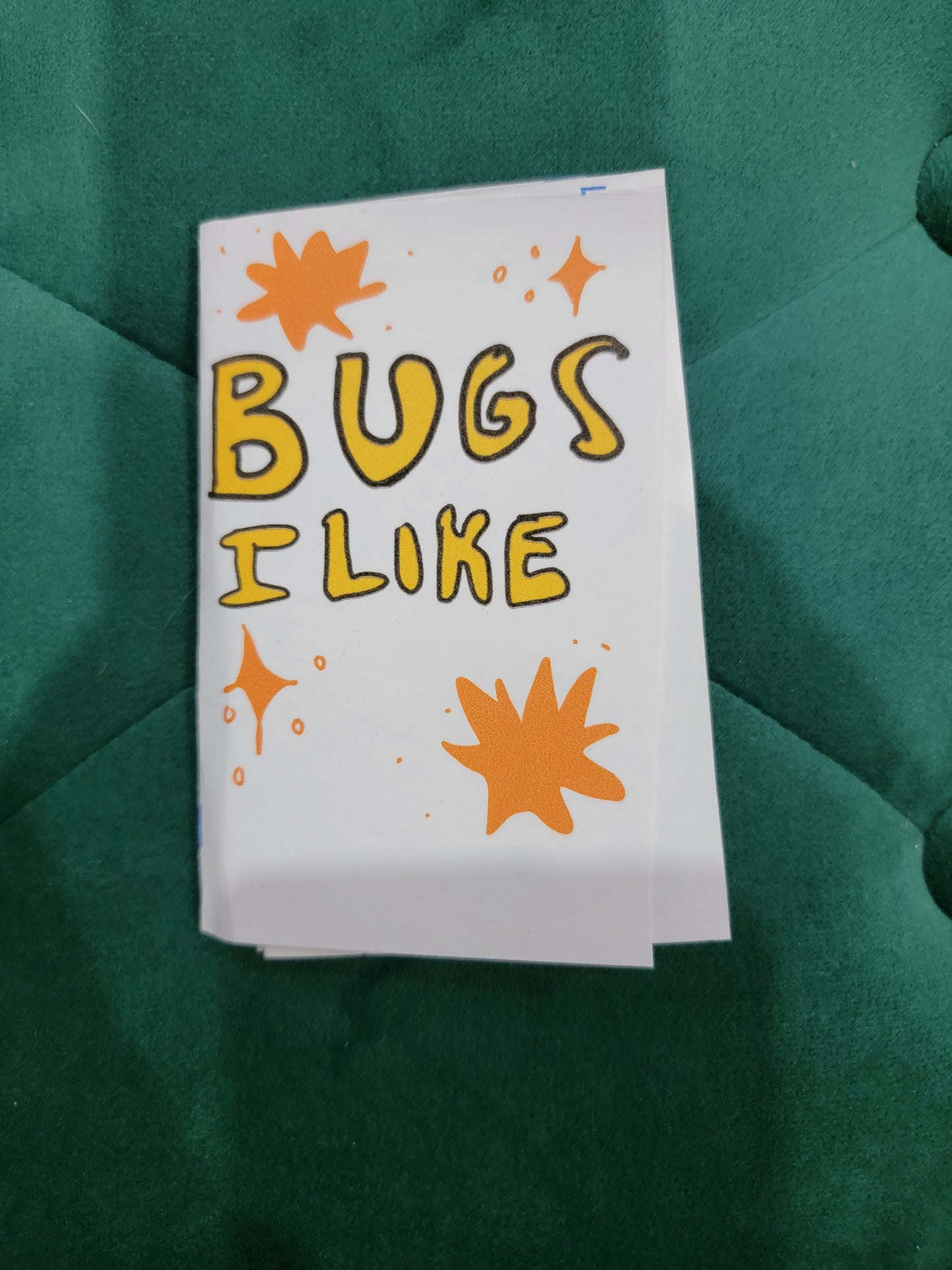 bugs I like zine