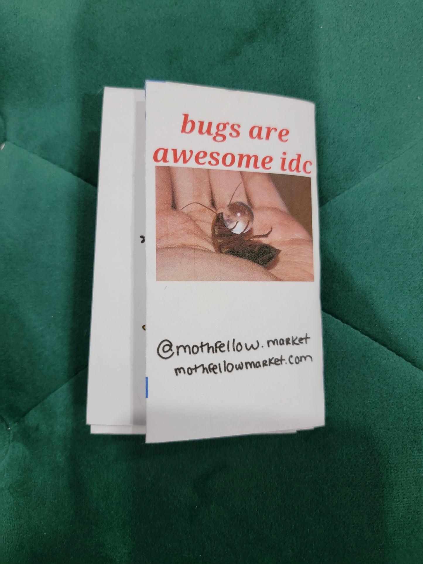 bugs I like zine